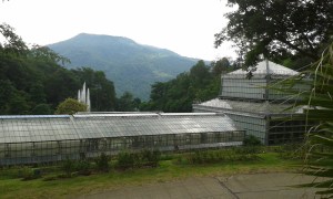 The Queens Sirikit Botanic Garden: Every view of this place is breath-taking.